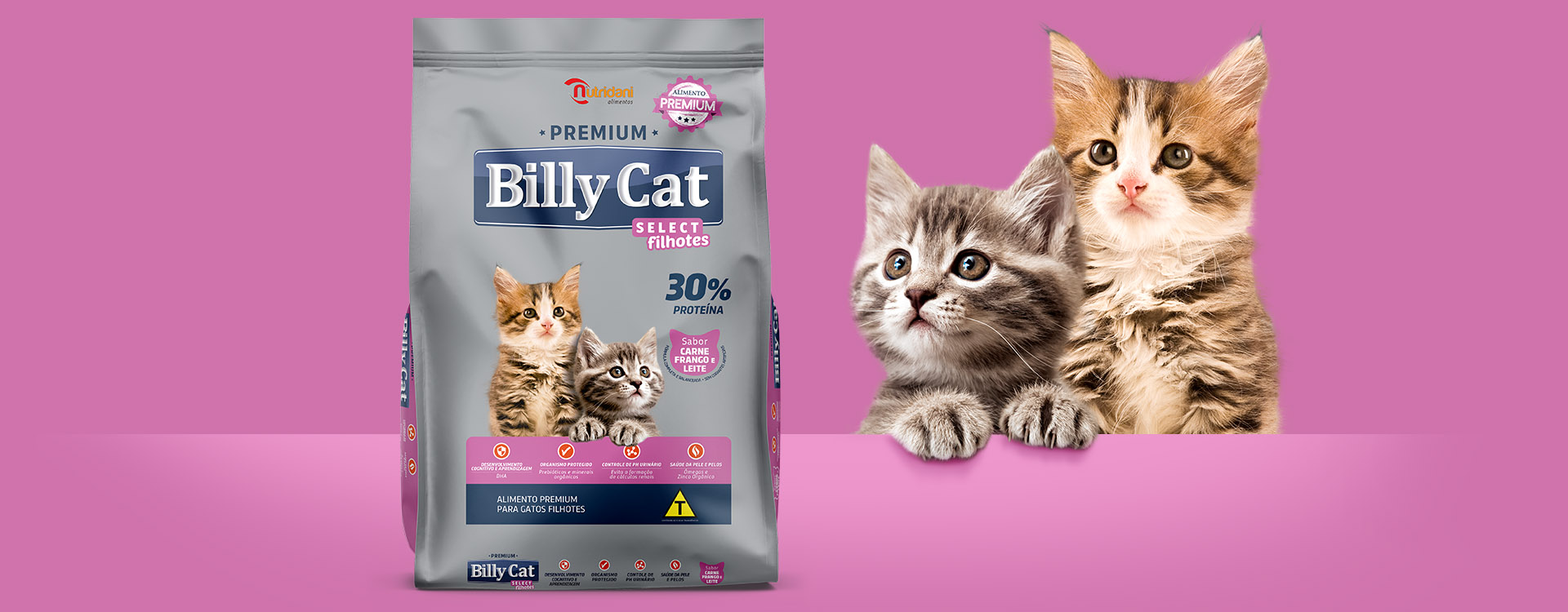 criação_embalagens_para_gatos_billy_cat