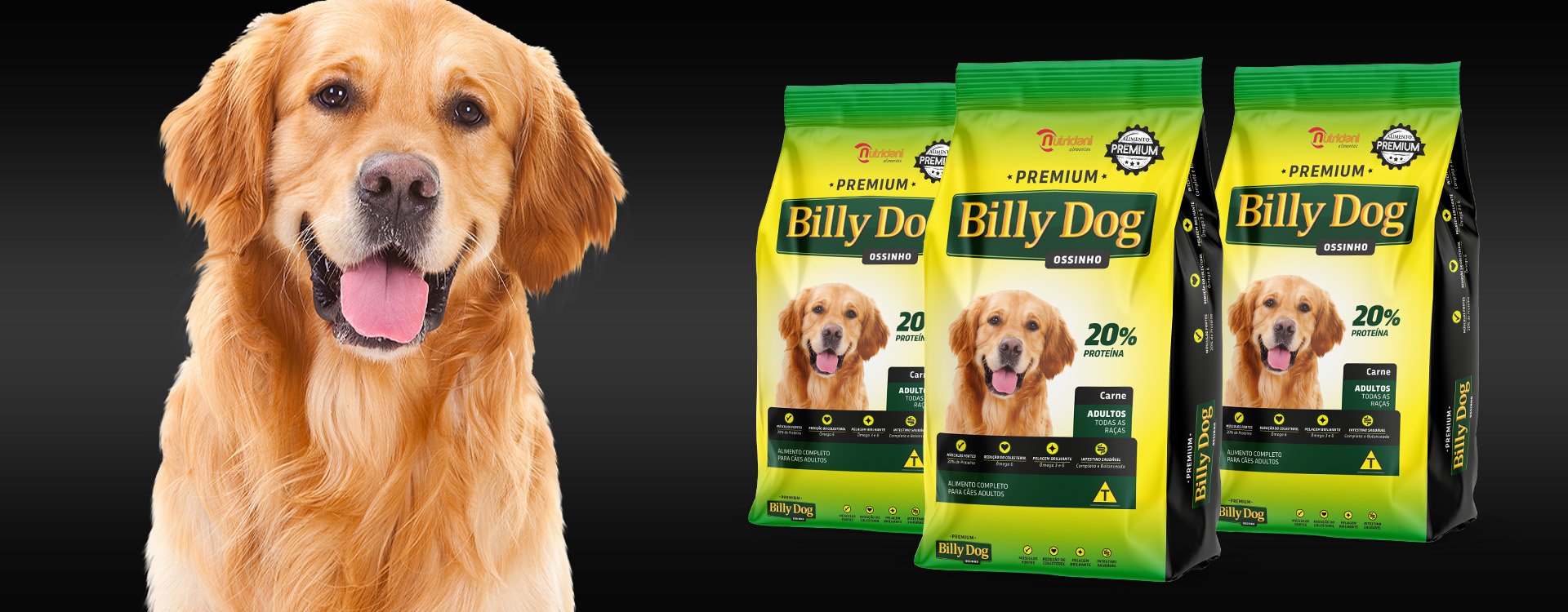 criação_embalagem_para_ração_cachorro_billy_dog